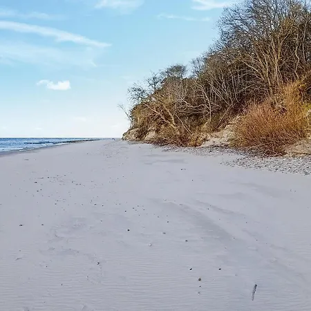 In With Wifi * Сарбиново