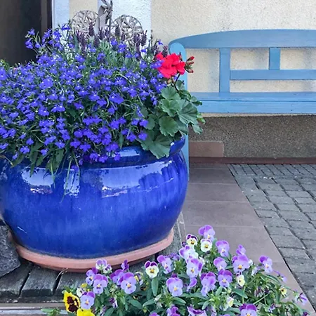 In With Wifi Апартаменты *