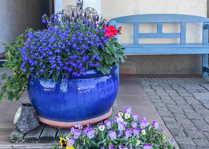 In With Wifi شقة *